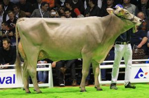 Bruna12 274